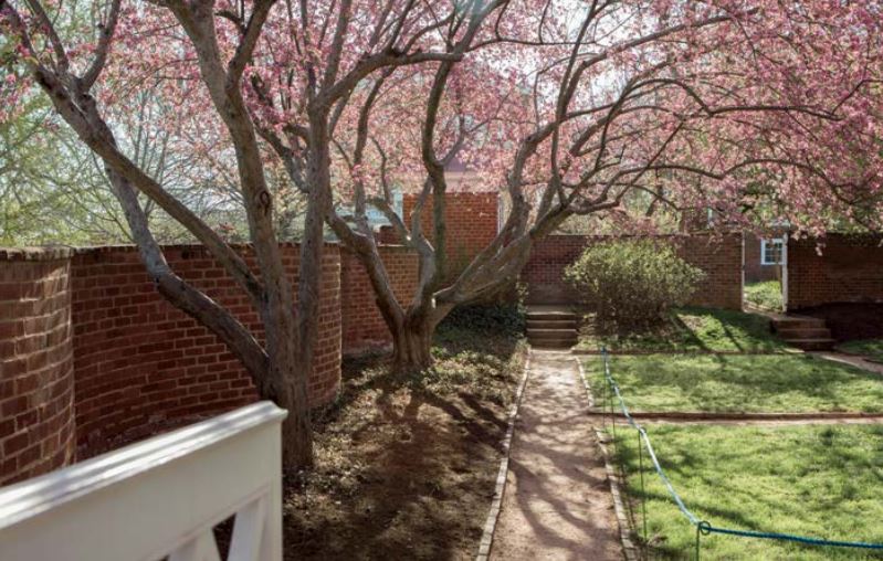 Uva Pavilion Gardens Fasci Garden